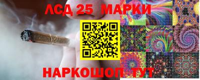 крисы Кимры