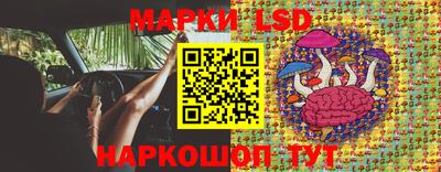 крисы Кимры