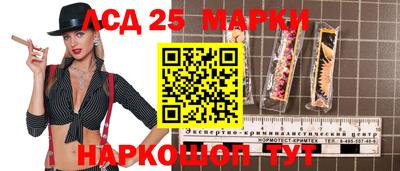 твердый Кингисепп