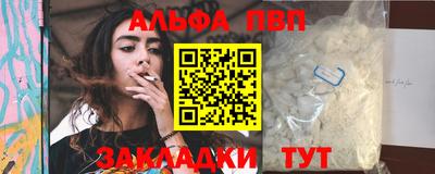 твердый Кингисепп