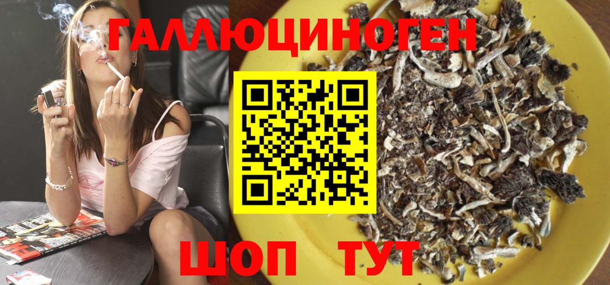 Псилоцибиновые грибы мухоморы Красноярск
