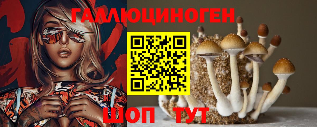 Псилоцибиновые грибы мухоморы  Псилоцибиновые грибы Magic Shrooms  Вход с VPN  Красноярск 